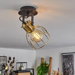 Lampes Industrielles-hofstein Plafonnier Bitterroot Noir, 1 lumière