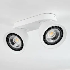 hofstein Plafonnier Especiosa Blanc, 2 lumières