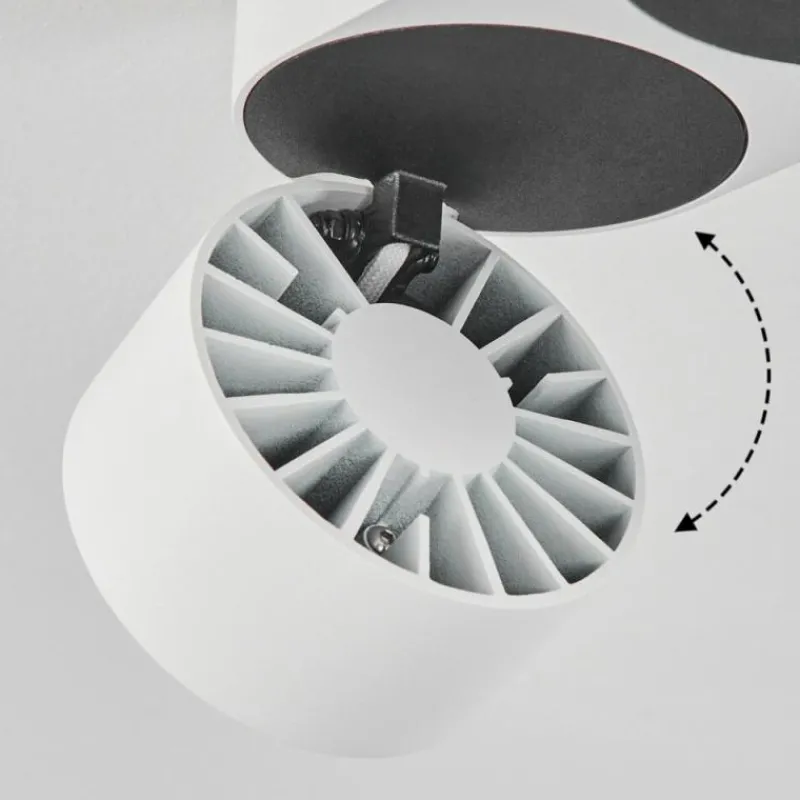 hofstein Plafonnier Laonsana LED Noir, Blanc, 2 lumières