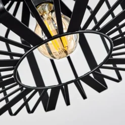 Lampes Industrielles-hofstein Plafonnier Oravi Noir, 1 lumière