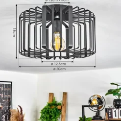 Lampes Industrielles-hofstein Plafonnier Oravi Noir, 1 lumière