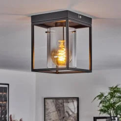 Suspension Verre Fumé-hofstein Plafonnier Sarniguet Noir, 1 lumière