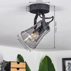 Suspension Verre Fumé-hofstein Plafonnier Trajouca Noir, 1 lumière