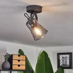 Suspension Verre Fumé-hofstein Plafonnier Trajouca Noir, 1 lumière