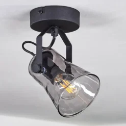 Suspension Verre Fumé-hofstein Plafonnier Trajouca Noir, 1 lumière
