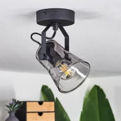 Suspension Verre Fumé-hofstein Plafonnier Trajouca Noir, 1 lumière