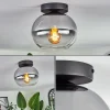 hofstein Plafonnier - Verre Apedo Clair, Fumé, 1 lumière
