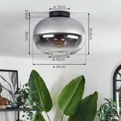 hofstein Plafonnier - Verre Apedo Clair, Fumé, 1 lumière