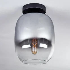 hofstein Plafonnier - Verre Apedo Clair, Fumé, 1 lumière