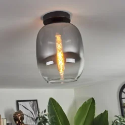 hofstein Plafonnier - Verre Apedo Clair, Fumé, 1 lumière