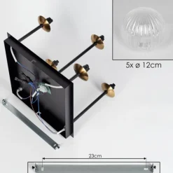hofstein Plafonnier - Verre Chehalis Or, Noir, 5 lumières