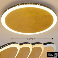 Lampes Dorées-hofstein Plafonnier Aitrach LED Or, Blanc, 1 lumière