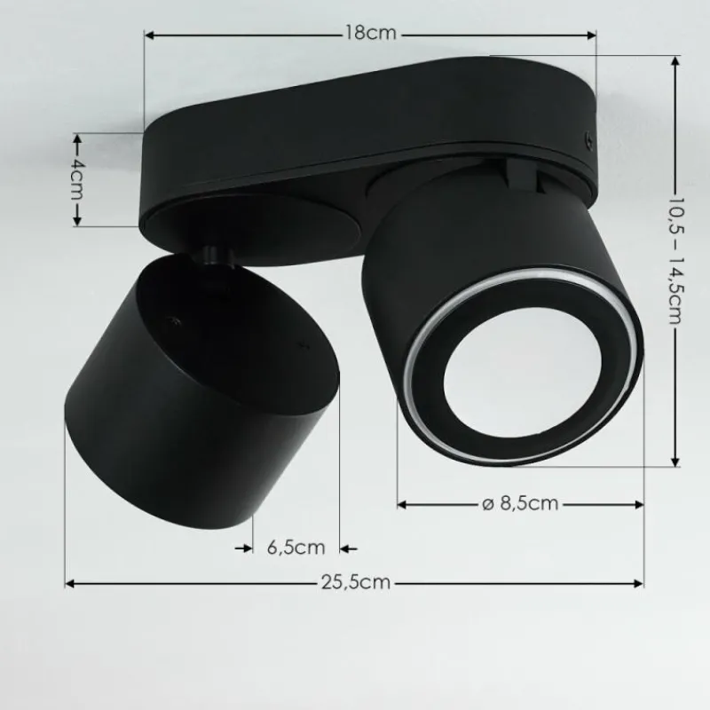 hofstein Plafonnier Appleton LED Noir, 2 lumières