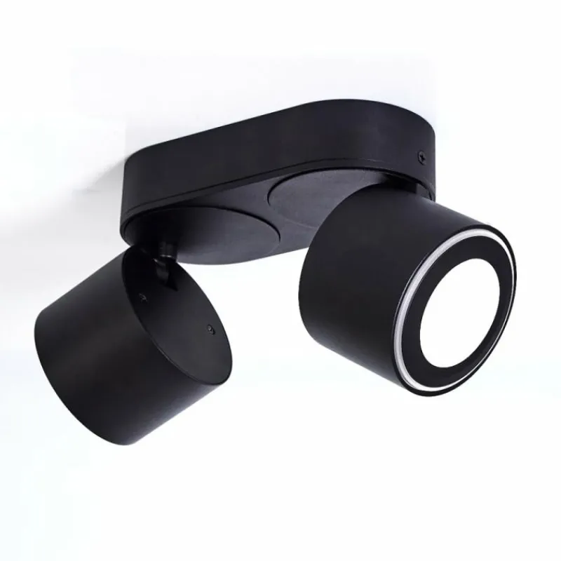 hofstein Plafonnier Appleton LED Noir, 2 lumières