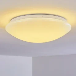 hofstein Plafonnier Brighton LED Blanc, 1 lumière, Télécommandes, Changeur de couleurs
