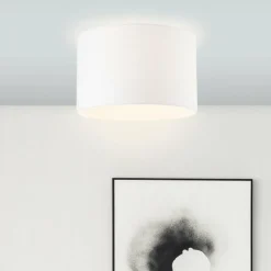 Lampes En Tissu-Luminaires Brilliant Plafonnier Brilliant Esher Argenté, 1 lumière