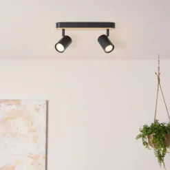 Luminaires Rustiques-Luminaires Brilliant Plafonnier Brilliant Niels Brun, Noir, 2 lumières