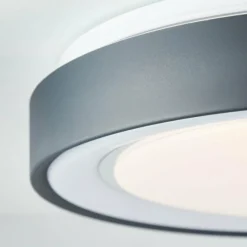 Luminaires Brilliant Plafonnier Brilliant-Leuchten Tessy LED Noir, 1 lumière, Télécommandes, Changeur de couleurs