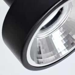 Lampes Industrielles-hofstein Plafonnier Chagres Noir, Argenté, 2 lumières