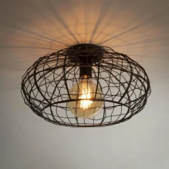 Lampes Industrielles-hofstein Plafonnier Connect Brun, Noir, 1 lumière