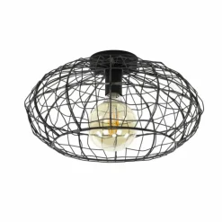 Lampes Industrielles-hofstein Plafonnier Connect Brun, Noir, 1 lumière