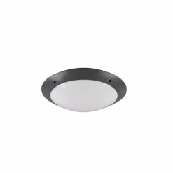 Luminaires Reality Plafonnier d'extérieur Reality CAMARO Anthracite, 2 lumières