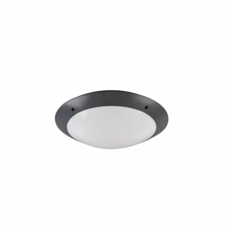 Luminaires Reality Plafonnier d'extérieur Reality CAMARO Anthracite, 2 lumières