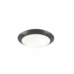 Luminaires Reality Plafonnier d'extérieur Reality CAMARO Anthracite, 2 lumières