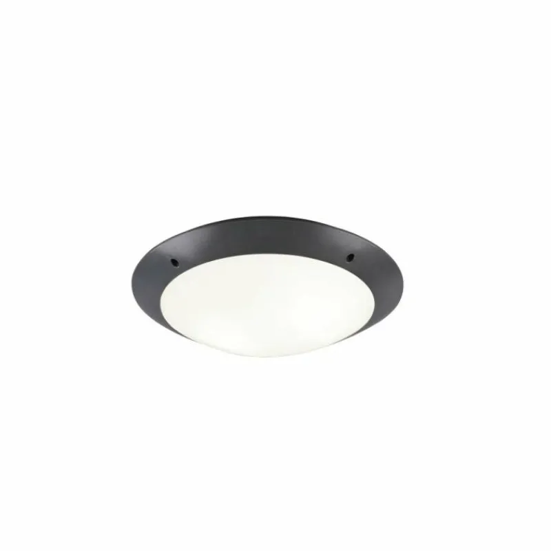 Luminaires Reality Plafonnier d'extérieur Reality CAMARO Anthracite, 2 lumières