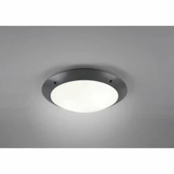 Luminaires Reality Plafonnier d'extérieur Reality CAMARO Anthracite, 2 lumières
