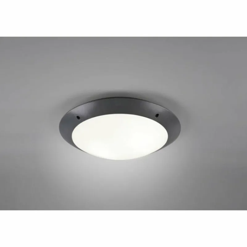 Luminaires Reality Plafonnier d'extérieur Reality CAMARO Anthracite, 2 lumières