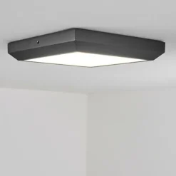 hofstein plafonnier extérieur Alkmaar LED Anthracite, 1 lumière