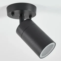 hofstein plafonnier extérieur Bessiebelle Noir, Blanc, 1 lumière