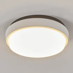 hofstein plafonnier extérieur Centinela LED Anthracite, Blanc, 1 lumière