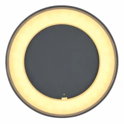 Luminaires Globo Lighting plafonnier extérieur Globo SURA LED Anthracite, 1 lumière