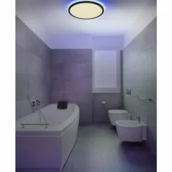 Luminaires Globo Lighting plafonnier extérieur Globo SAPANA LED Noir, 1 lumière, Télécommandes, Changeur de couleurs