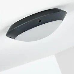 hofstein plafonnier extérieur Grafton Anthracite, 1 lumière