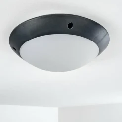 hofstein plafonnier extérieur Grafton Anthracite, 1 lumière