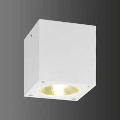 Luminaires LCD plafonnier extérieur LCD 5029 LED Blanc, 1 lumière