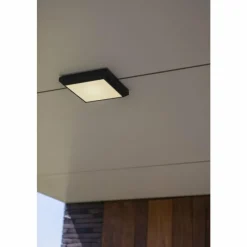 Luminaires Lutec plafonnier extérieur Lutec Helena LED Anthracite, 1 lumière