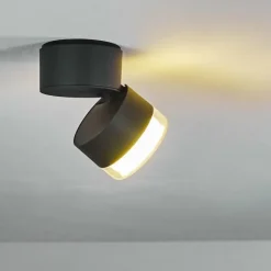 hofstein plafonnier extérieur Papagayos LED Anthracite, Blanc, 1 lumière, Changeur de couleurs