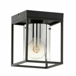 Suspension Verre Fumé-Luminaires Fischer & Honsel Plafonnier Fischer & Honsel Samu Noir, 1 lumière