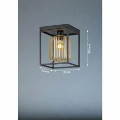 Lampes Dorées-Luminaires Fischer & Honsel Plafonnier Fischer & Honsel Caydo Noir, 1 lumière