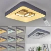 hofstein Plafonnier Gabbiana LED Gris, Blanc, 1 lumière, Télécommandes