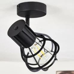 Luminaires Rustiques-hofstein Plafonnier Gainesville Noir, 1 lumière