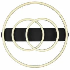 Luminaires Globo Lighting Plafonnier Globo AUGUSTO LED Or, Noir, 2 lumières, Télécommandes, Changeur de couleurs