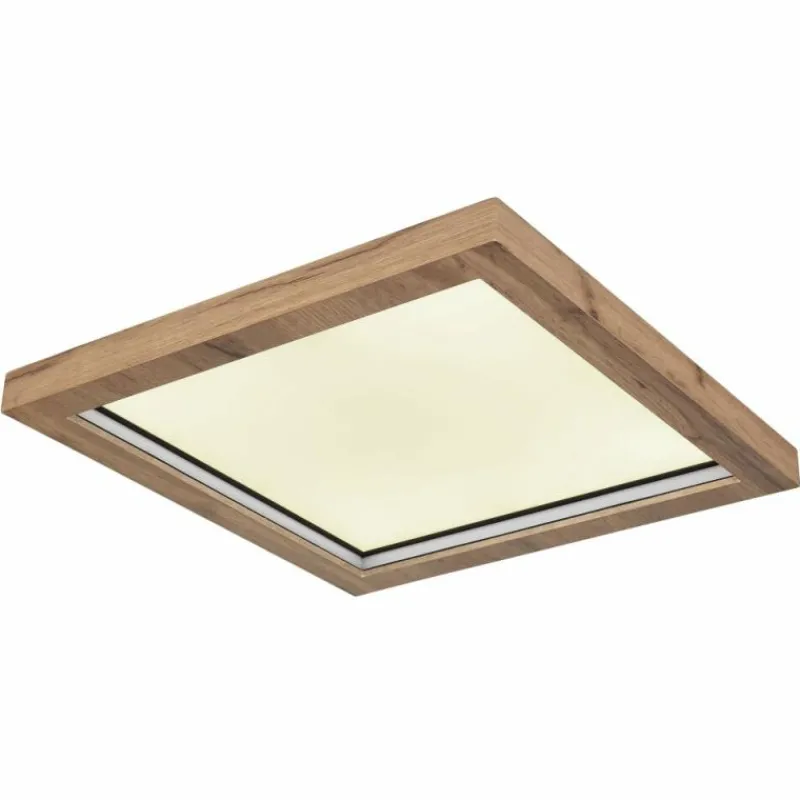 Luminaires Globo Lighting Plafonnier Globo BRANZA LED Noir, 1 lumière, Télécommandes* Éclairage Led