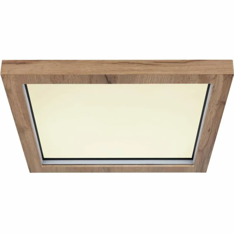 Luminaires Globo Lighting Plafonnier Globo BRANZA LED Noir, 1 lumière, Télécommandes* Éclairage Led