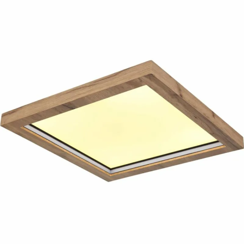 Luminaires Globo Lighting Plafonnier Globo BRANZA LED Noir, 1 lumière, Télécommandes* Éclairage Led