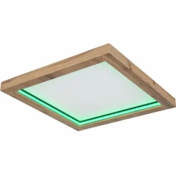 Luminaires Globo Lighting Plafonnier Globo BRANZA LED Noir, 1 lumière, Télécommandes* Éclairage Led